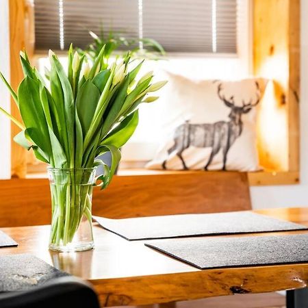 Neu Renoviertes Ferienhaus/Wohnunng Kleine Auszeit Sonnenbühl Exteriér fotografie